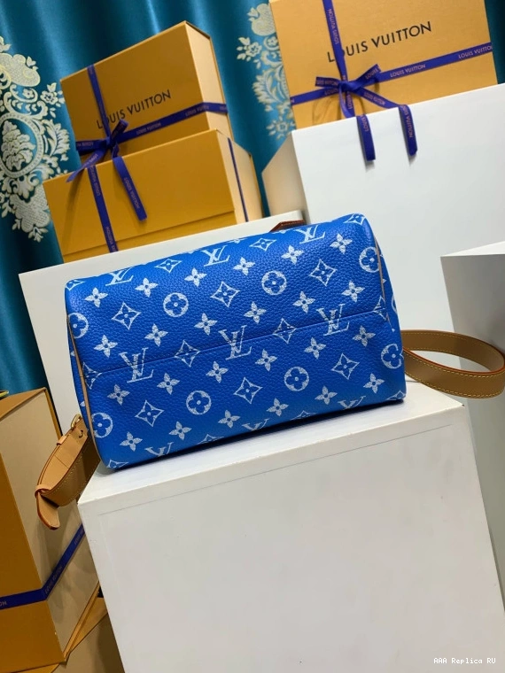 Aaa replica bags SPEEDY Louis 25 Vuitton 0715